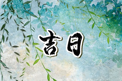 九星色数并称